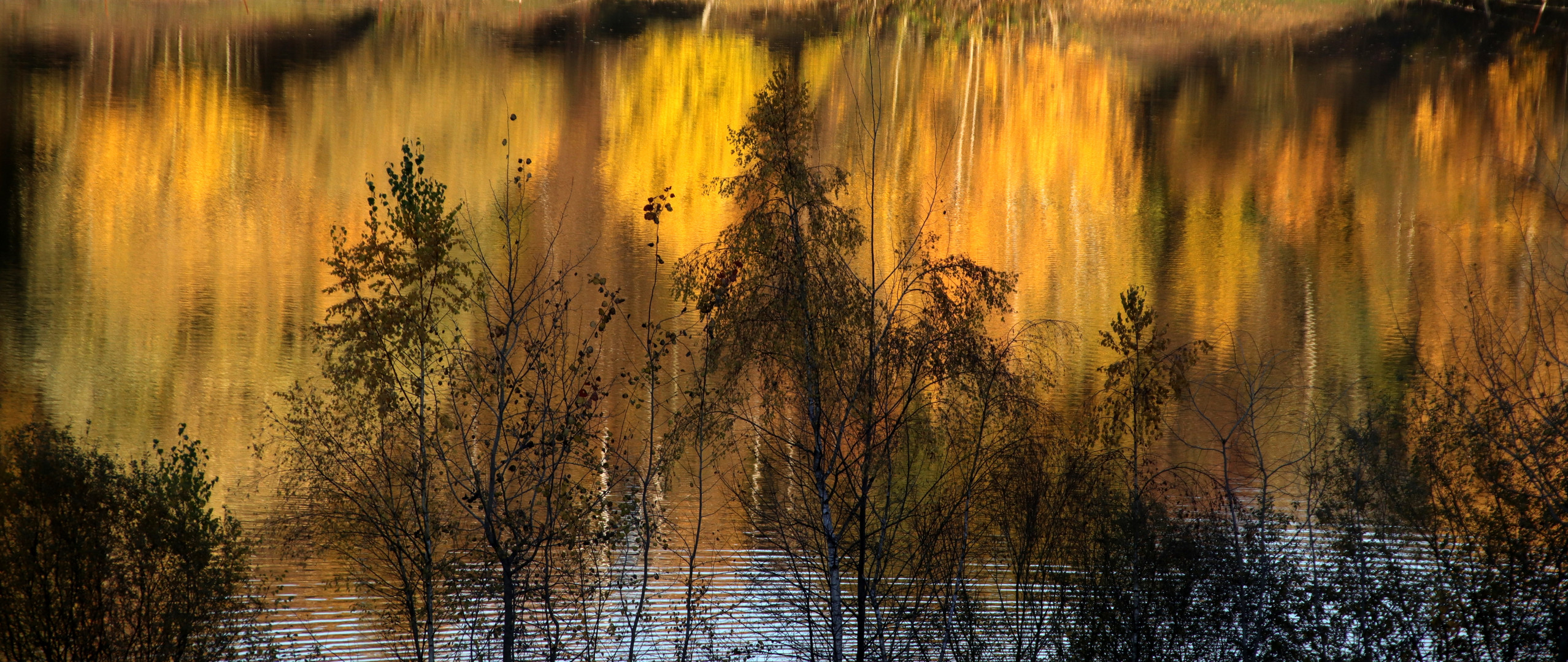 das Leuchten am See...