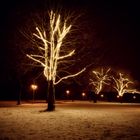 Das Leuchten im Baum