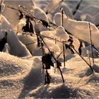 DAS LEUCHTEN IM INNEREN DER SCHNEEFLOCKE