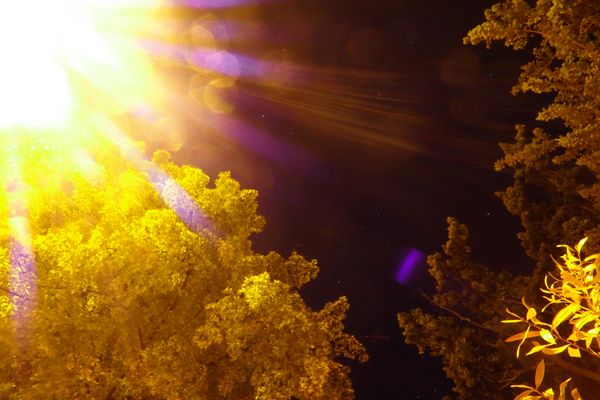 *Das Leuchten in der Nacht*