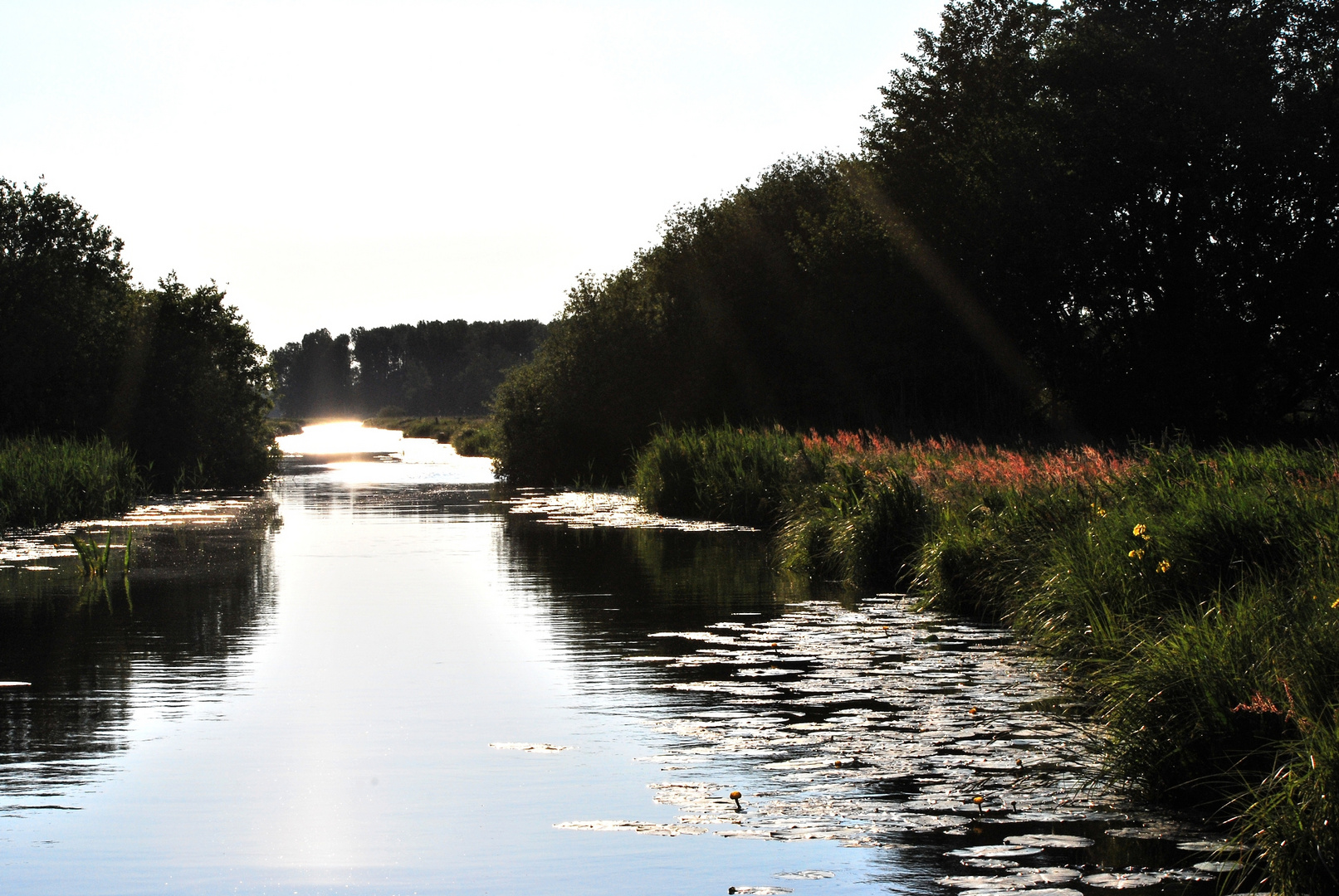 Das Licht am Ende des Flusses