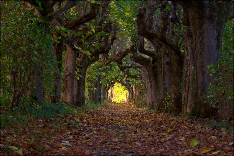 Das Licht am Ende des "Tunnels" Foto & Bild emotionen, hoffnung