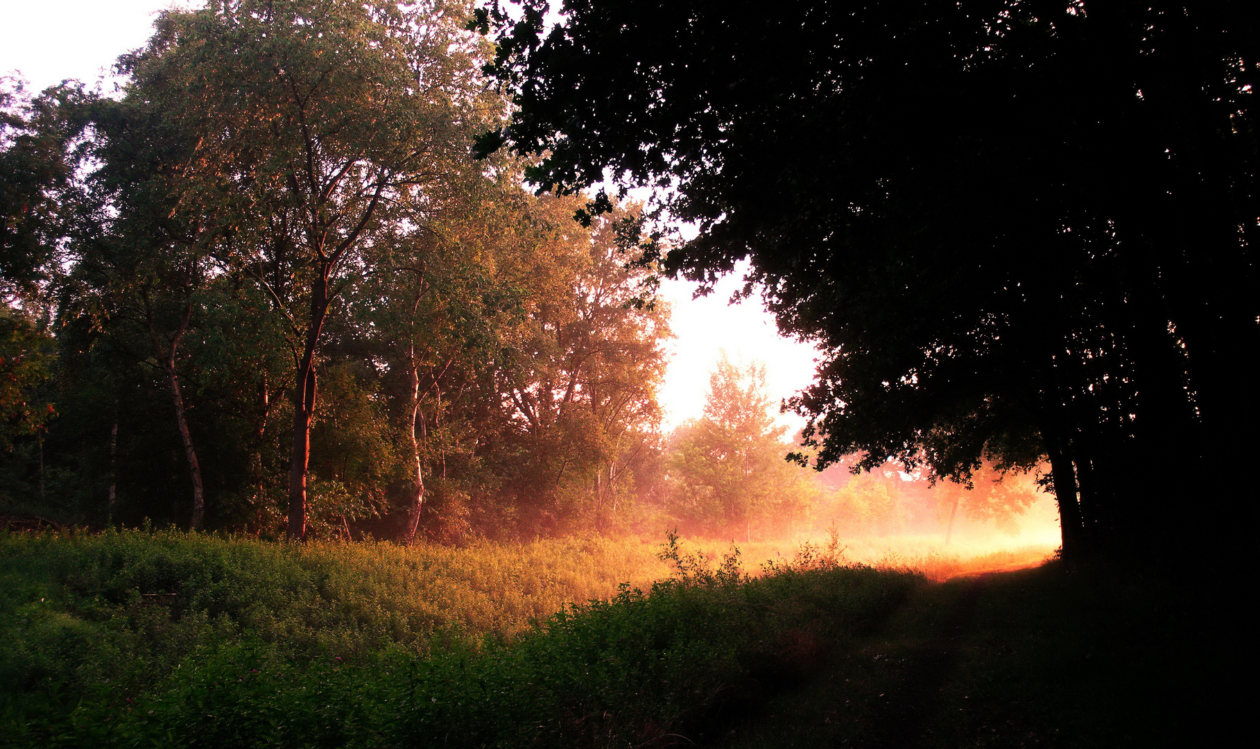 Das Licht am Ende des Weges