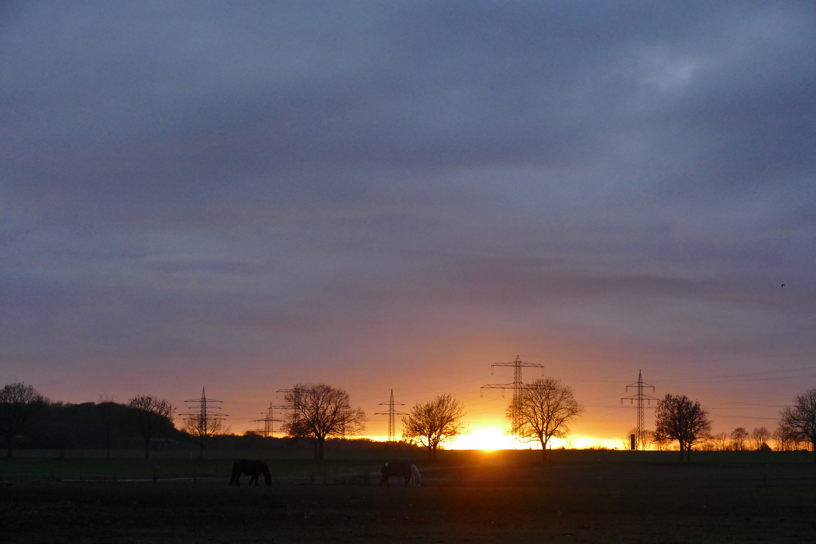 Das Licht am Horizont