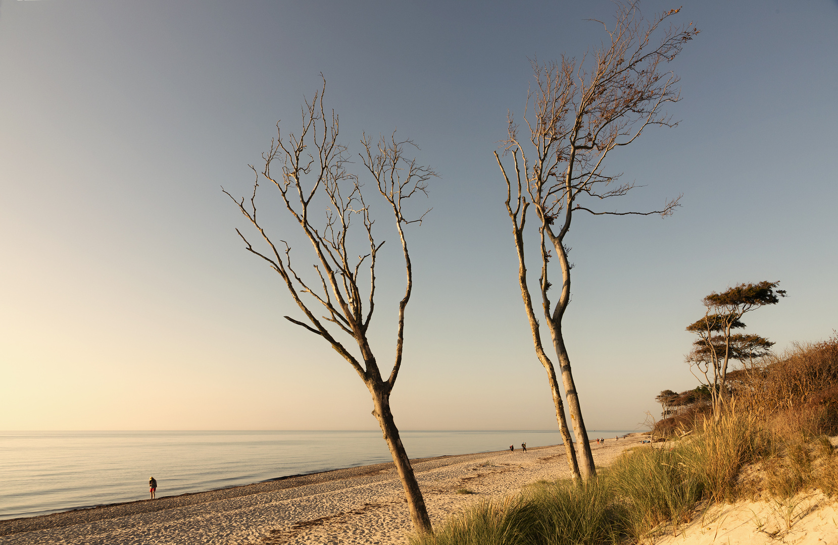 das Licht am Weststrand ...