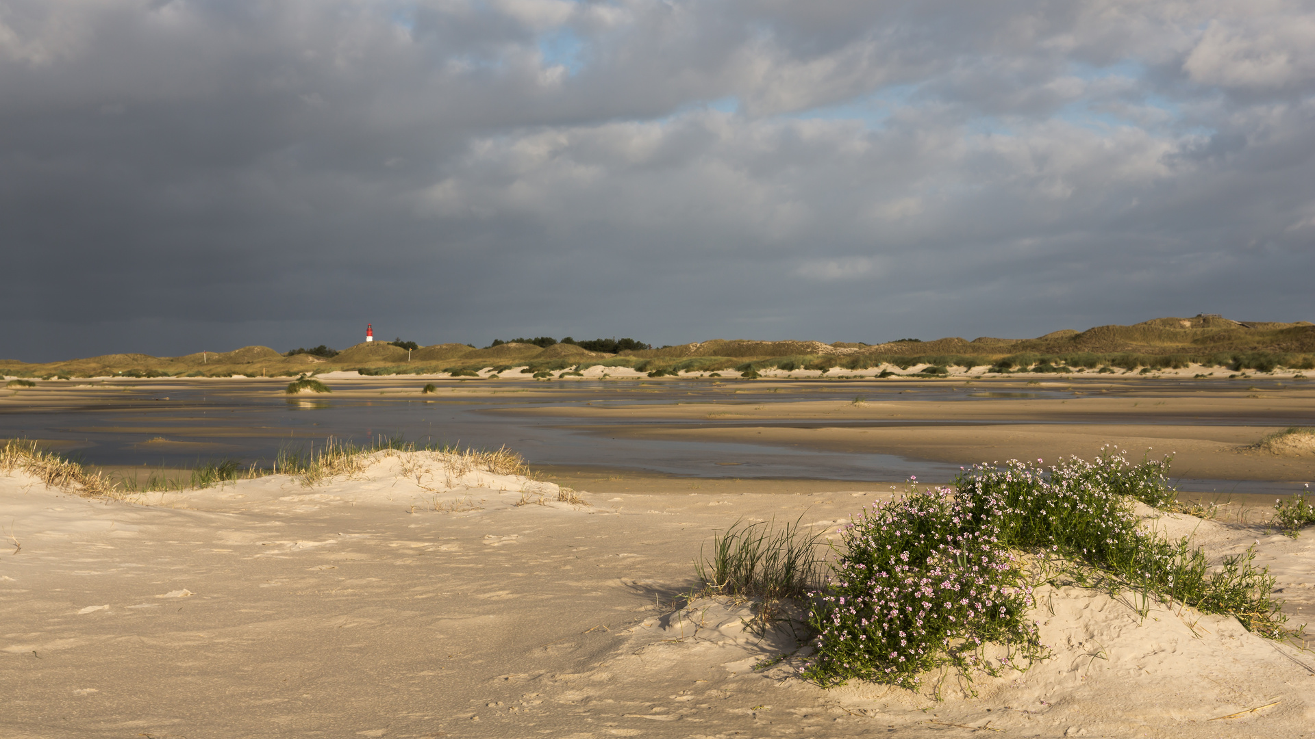 Das Licht auf Amrum