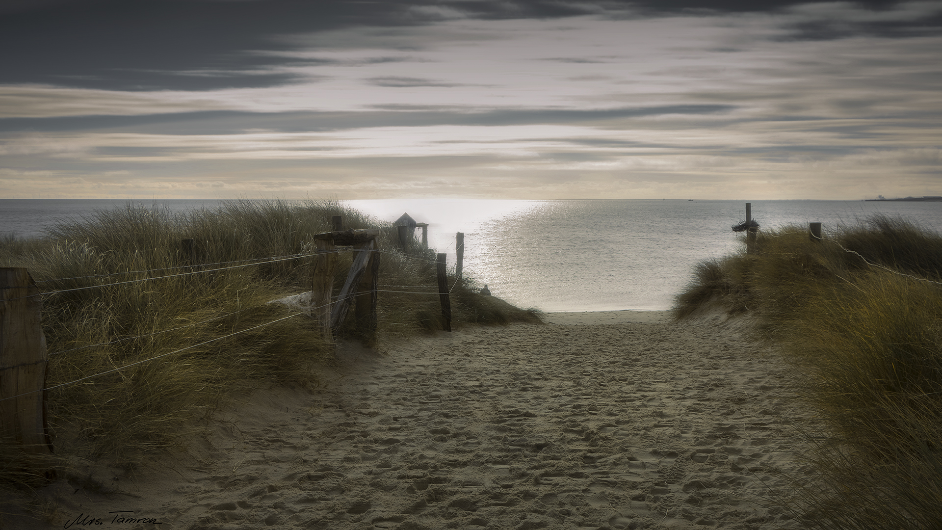 das Licht auf Sylt ...