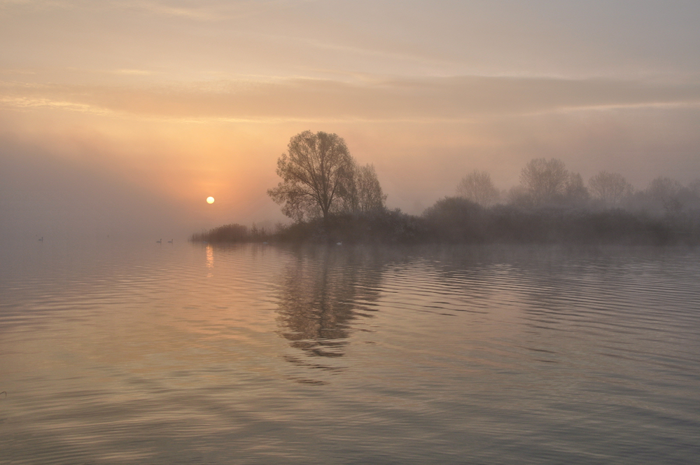 das LICHT aus dem NEBEL