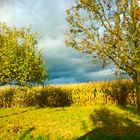 Das Licht bäumt sich auf bevor der Abend sich über dem Land ausbreitet 