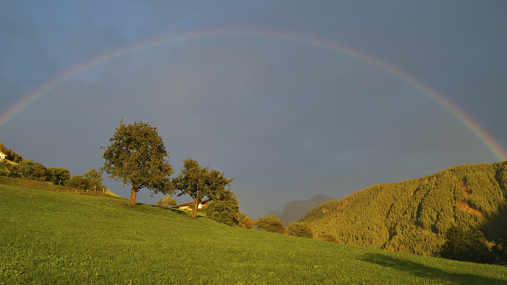 Das Licht danach