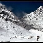 DAS LICHT DER BERGE