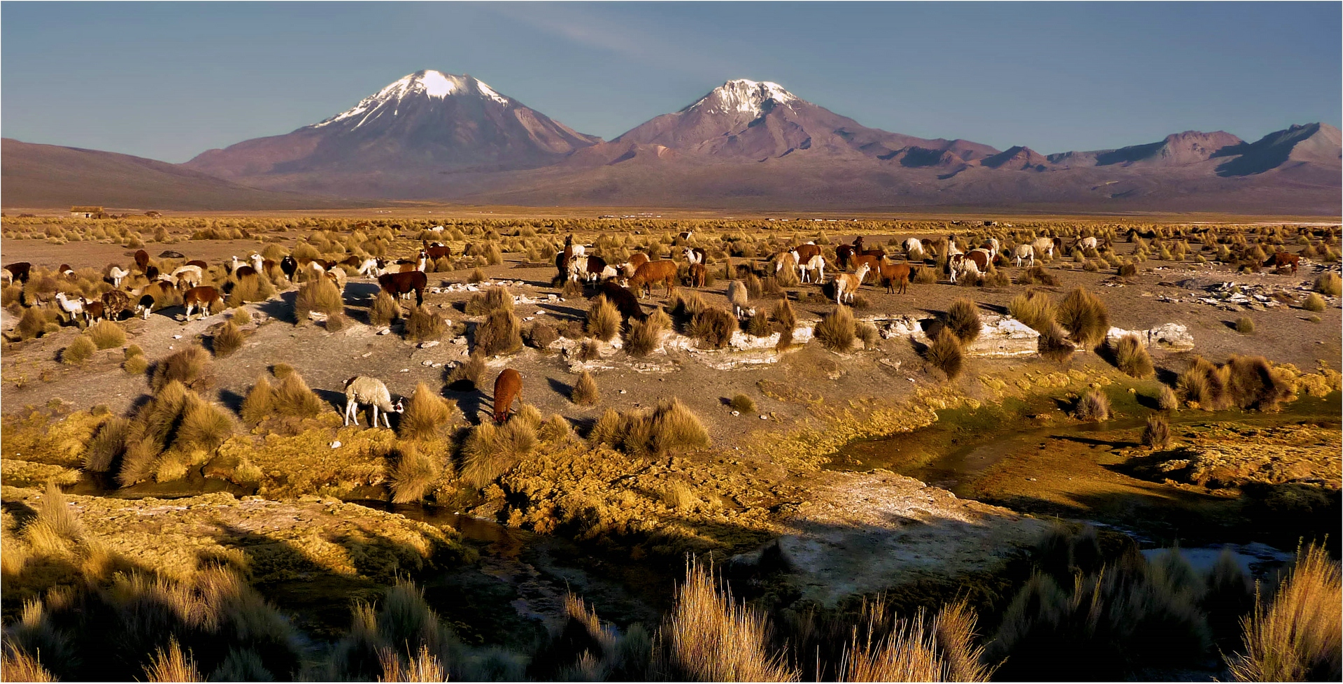 DAS LICHT DES ALTIPLANO