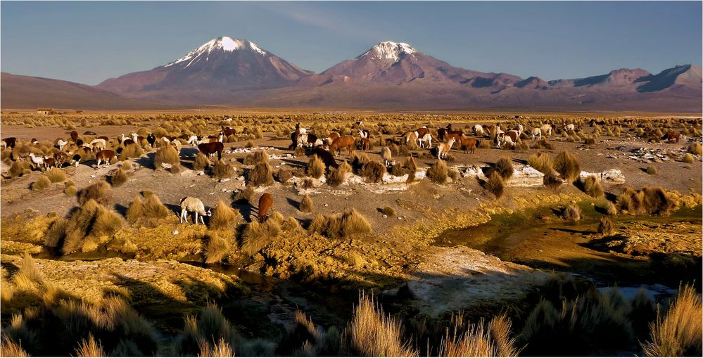 DAS LICHT DES ALTIPLANO