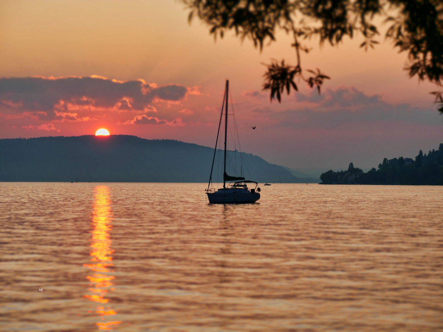 Das Licht des Bodensees