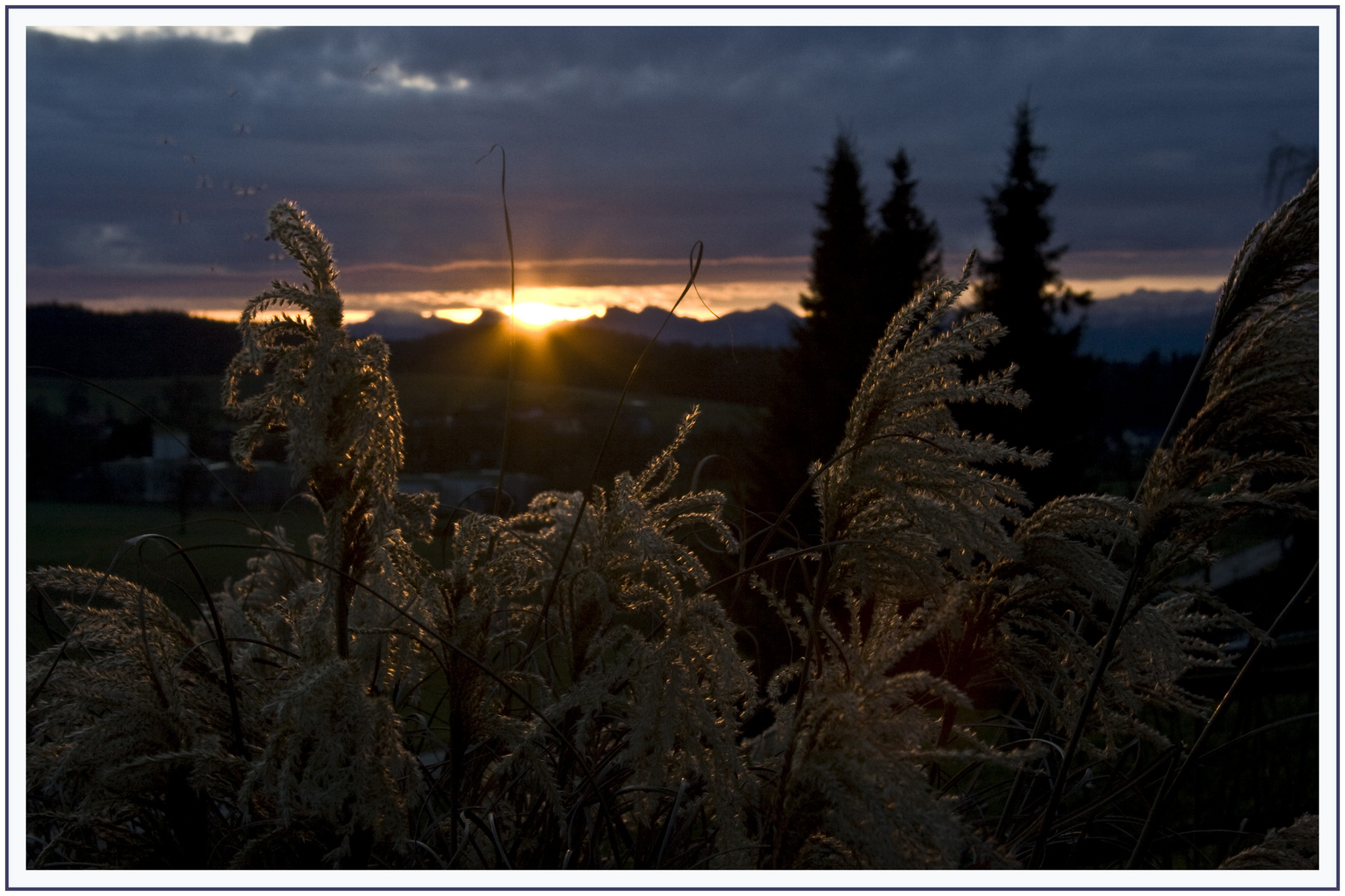 Das Licht des Lebens