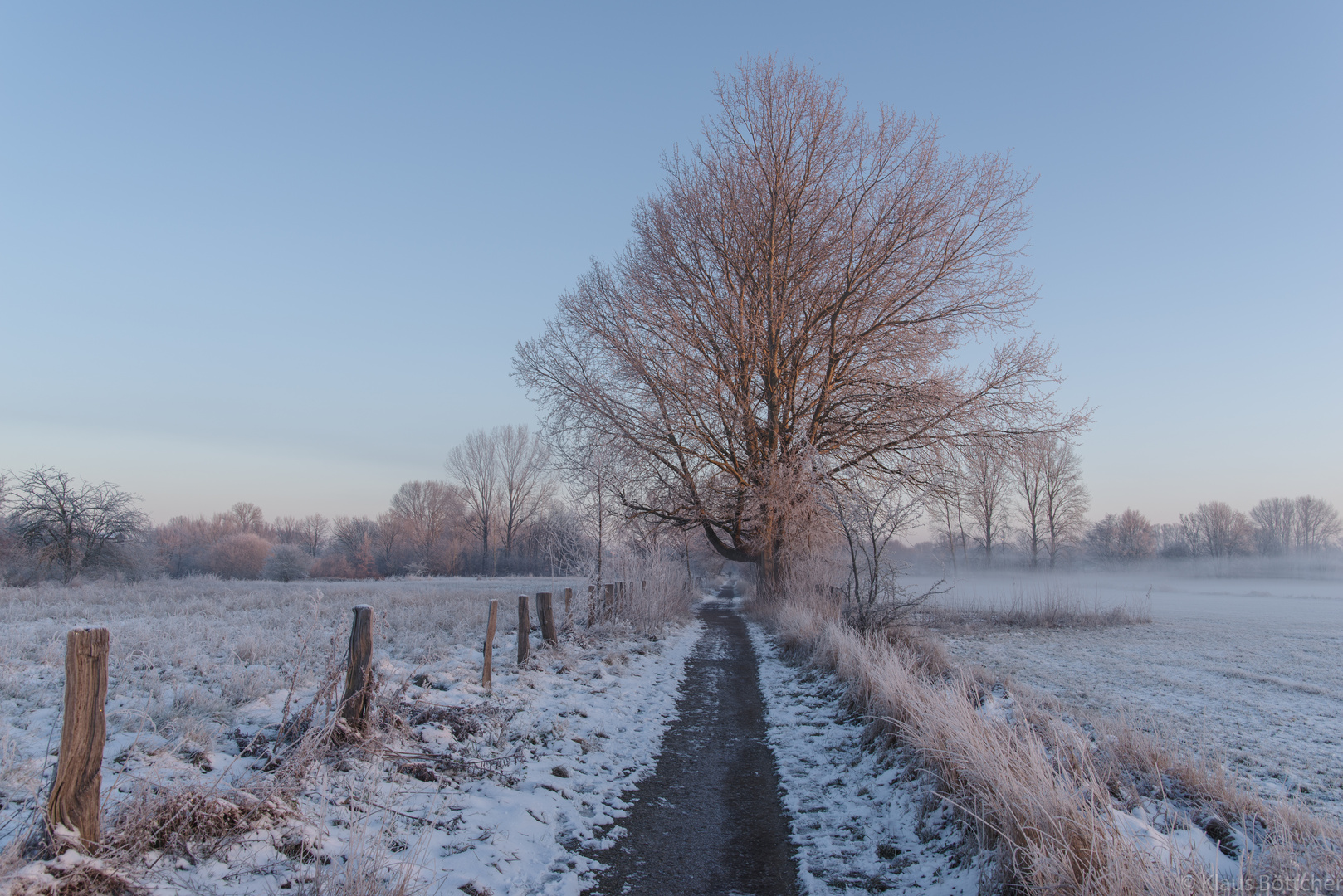 Das Licht des Morgens...