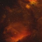 Das Licht des Wasserstoffs, Flammen - Pferdekopf - Orionnebel