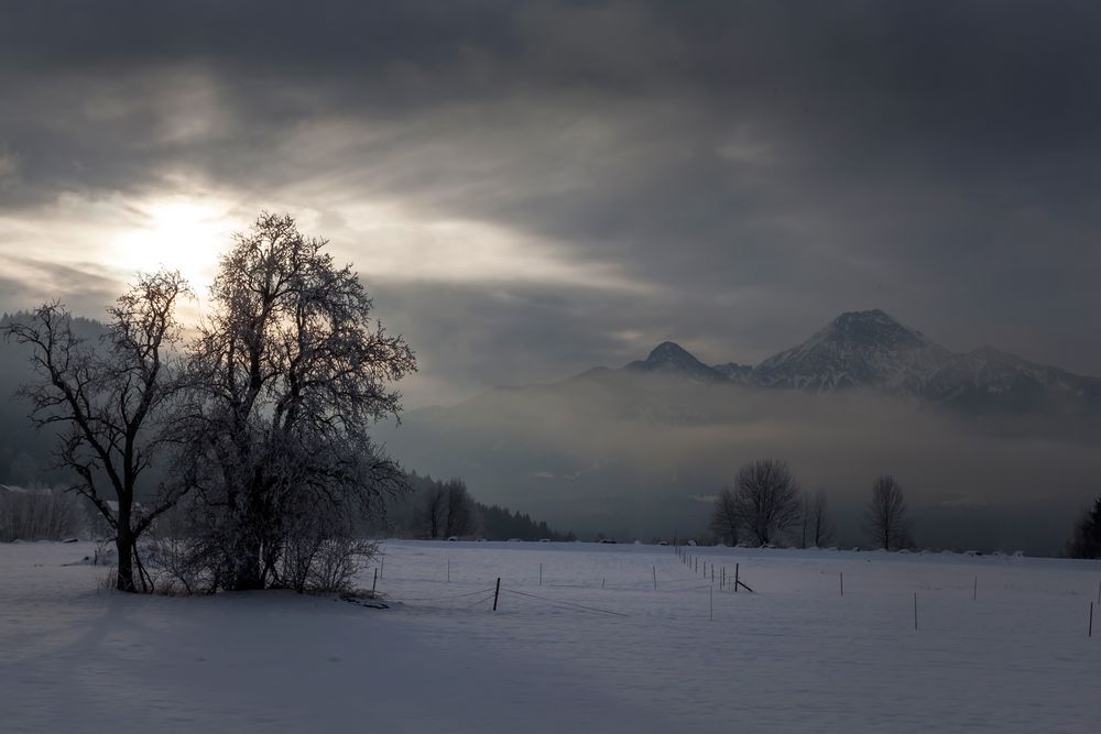 Das Licht des Winters