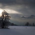 Das Licht des Winters