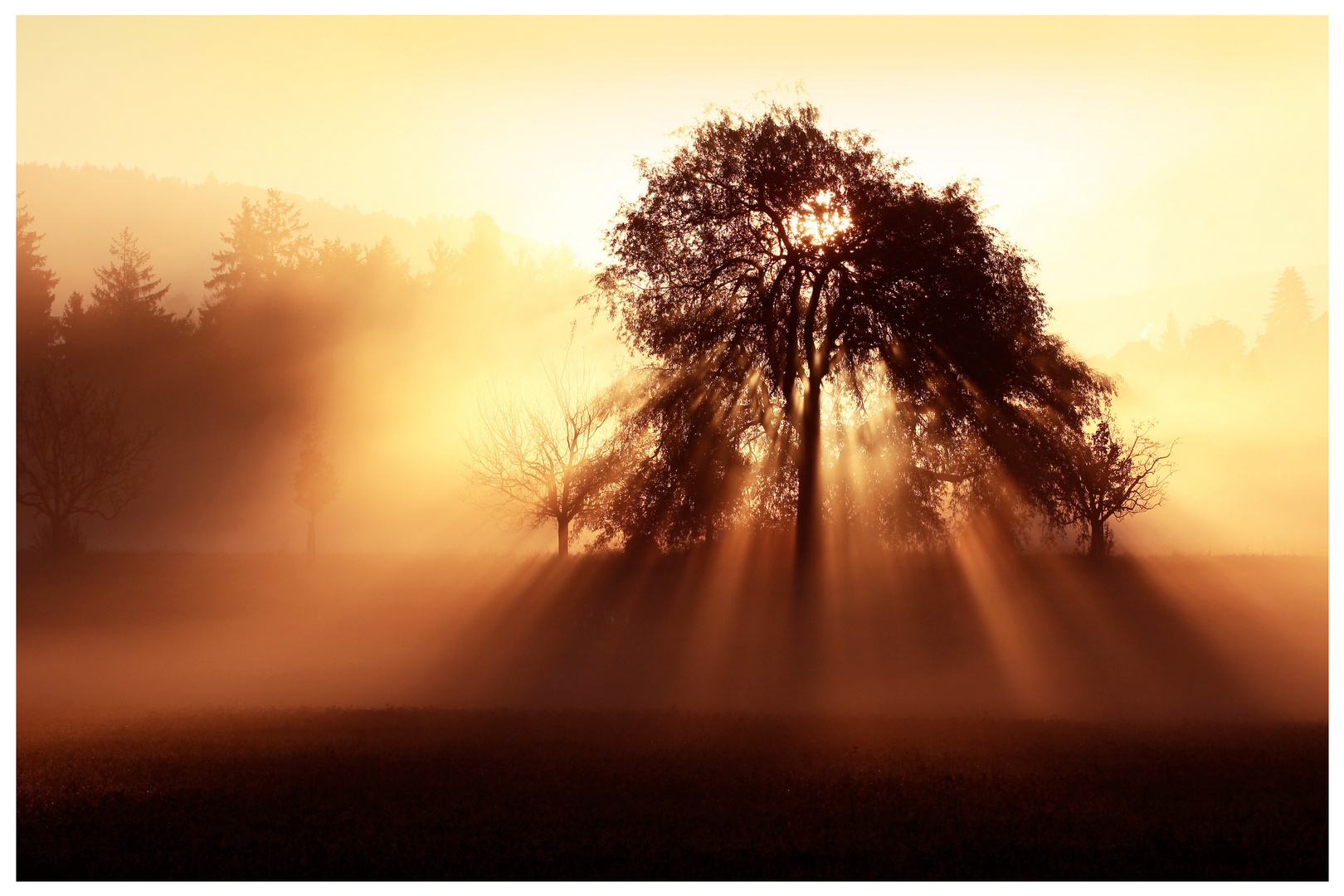 Das Licht durchdringt den Nebel