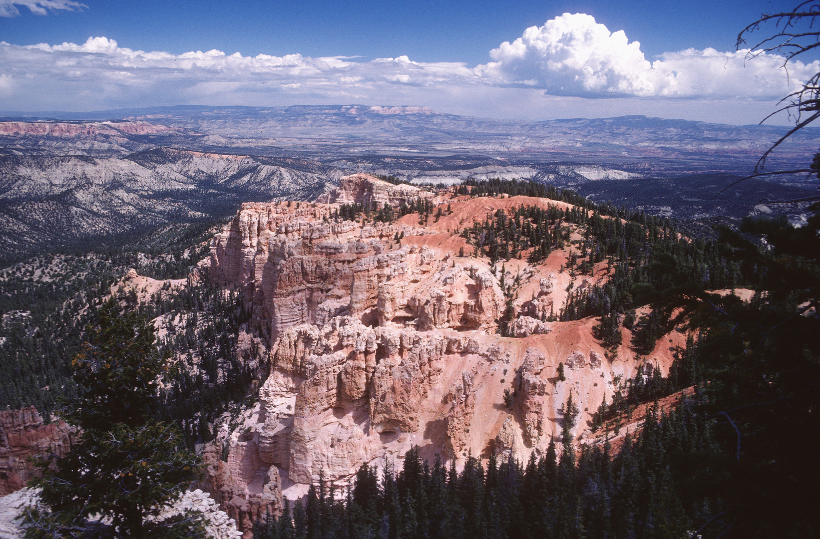 Das Licht fällt auf den Bryce Canyon..., UT