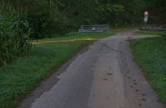 Das Licht findet seinen Weg