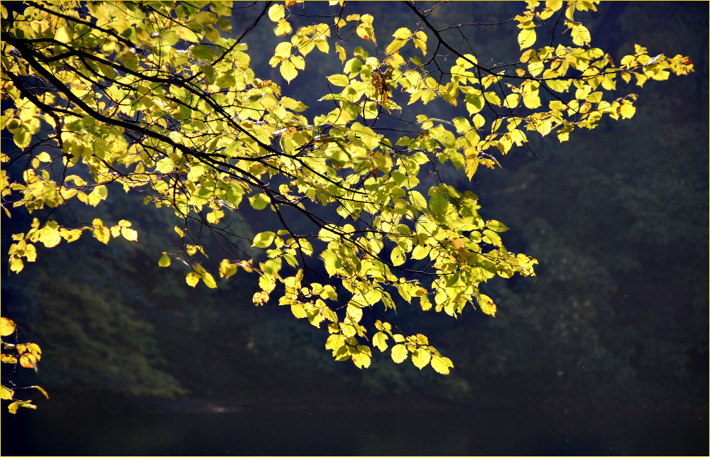 das Licht im 0ktober