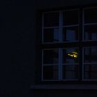 Das Licht im Fenster