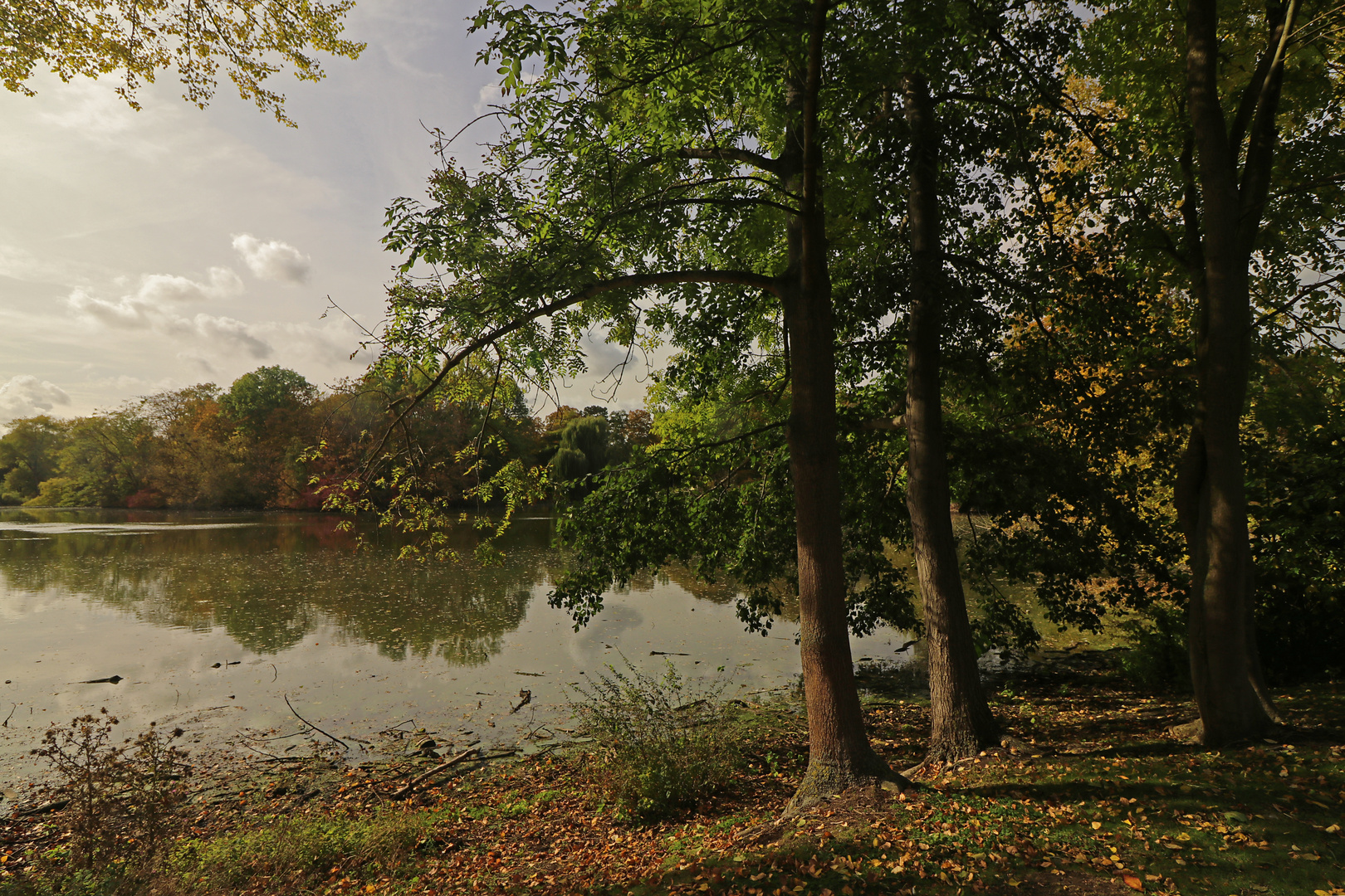 Das Licht im Herbst