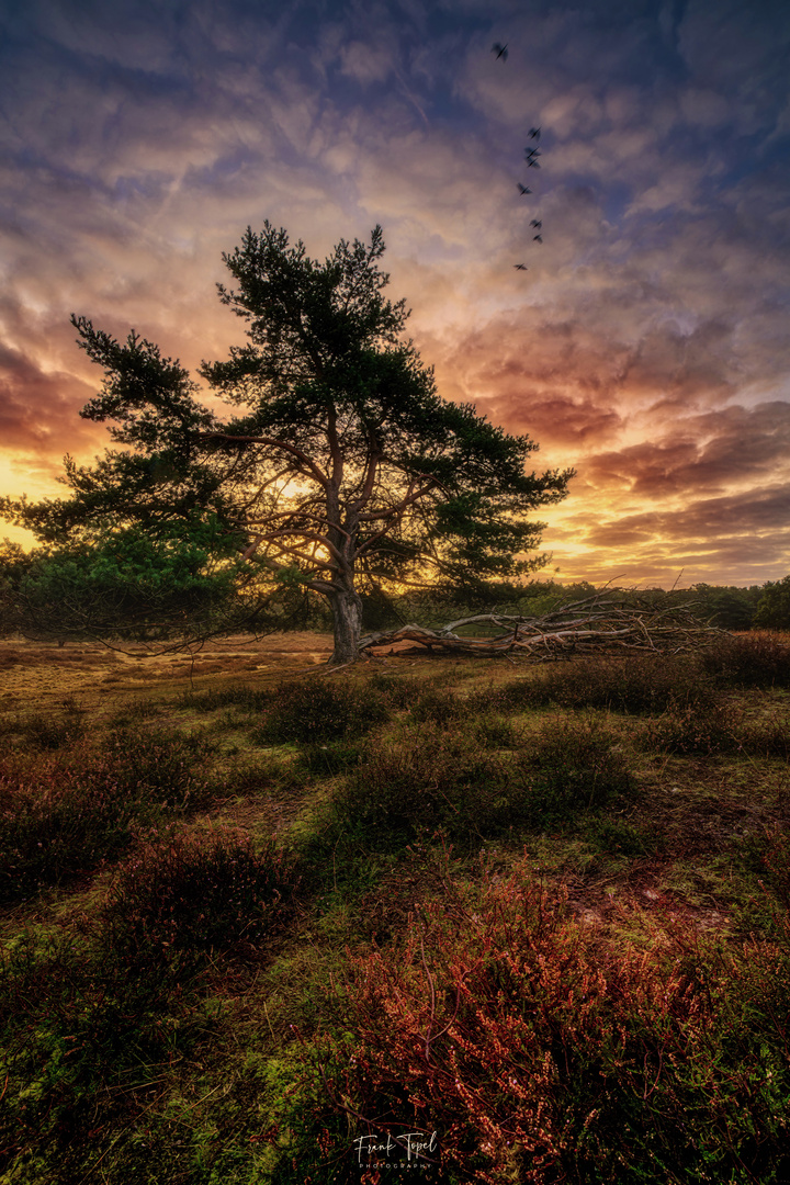 Das Licht malt die Landschaft