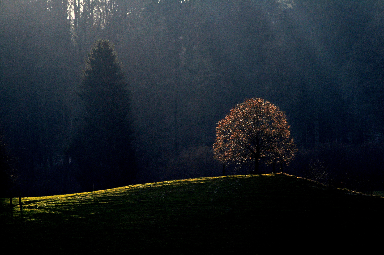 Das Licht spielt mit dem Schatten