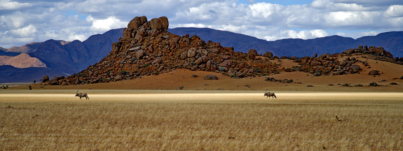 Das Licht und die Farben des Südens_Namibia