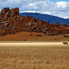 Das Licht und die Farben des Südens_Namibia