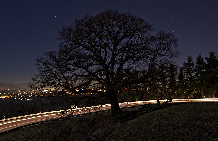 Das Licht unter dem Baum mit der Bank unter den Sternen