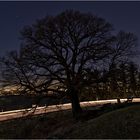 Das Licht unter dem Baum mit der Bank unter den Sternen