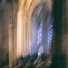 das Licht von Chartres