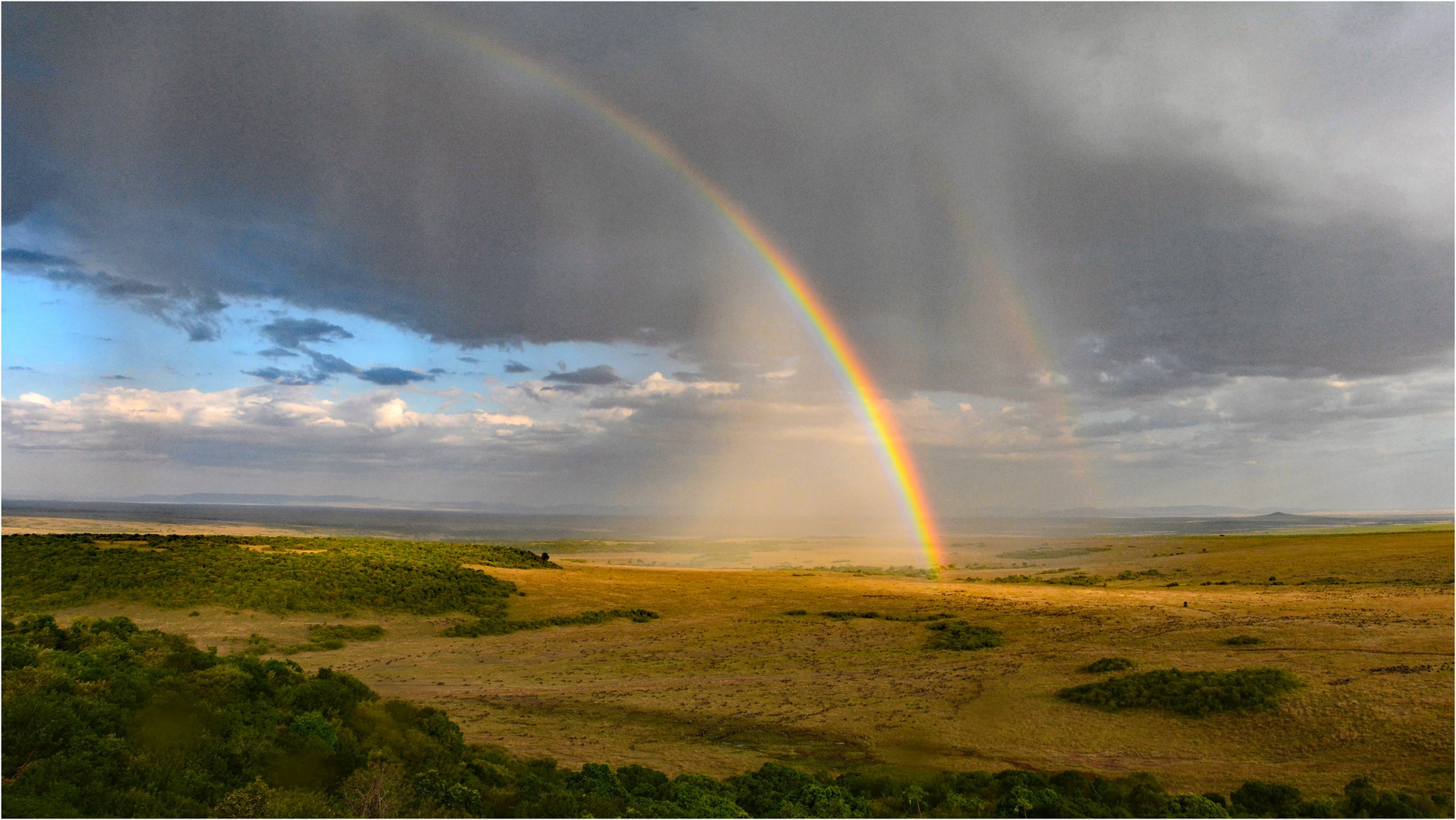 Das Licht weist den Weg durch die Masai Mara, so ...