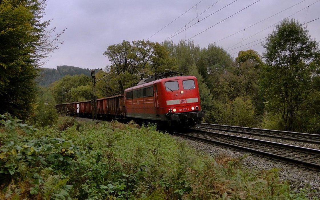 Das Lichte am Ende des Waldes