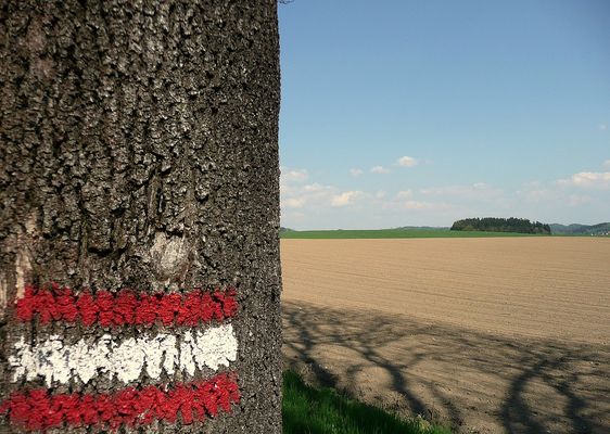 das linke österreich