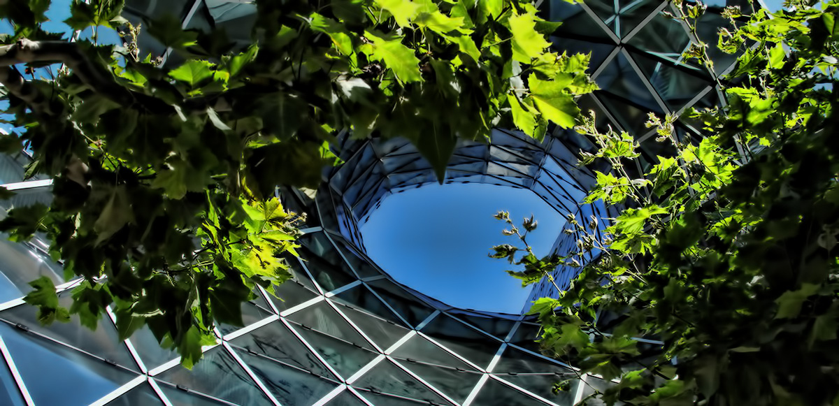 Das "Loch" Frankfurt my Zeil