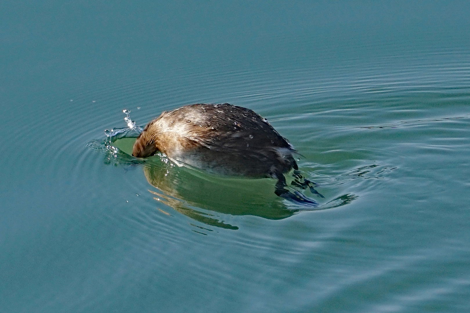 das Loch im Wasser