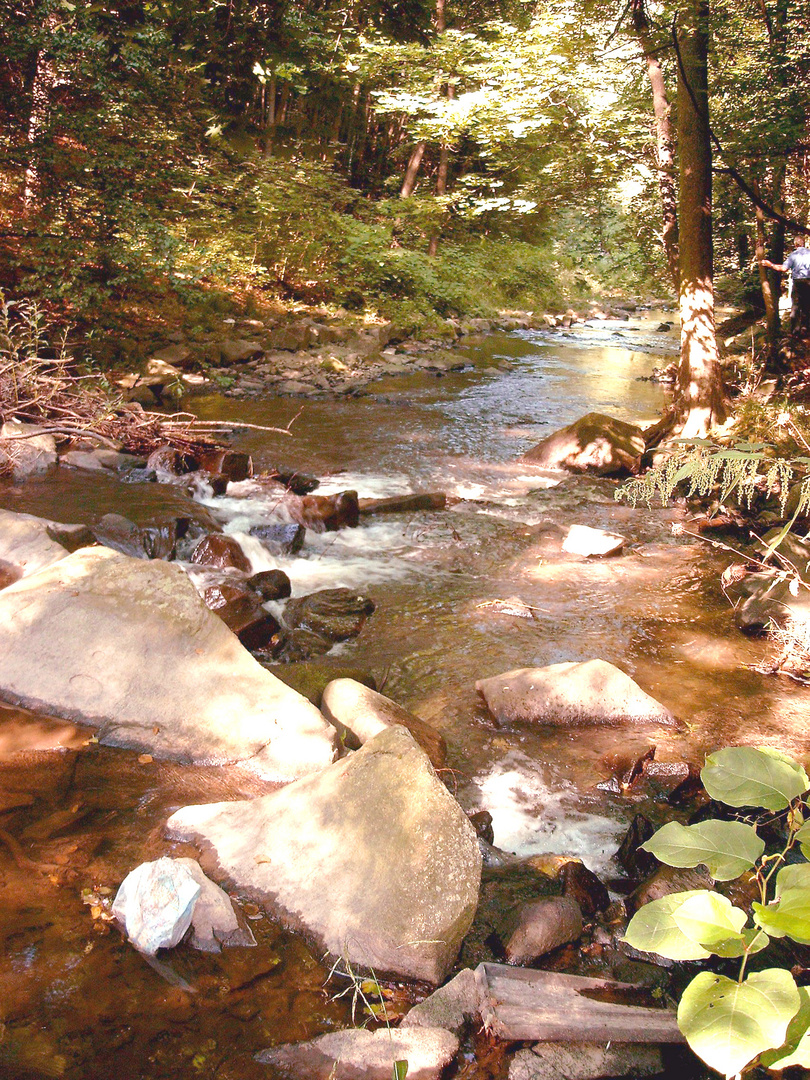 Das Löbauer Wasser 1