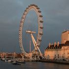 Das London Eye im Abendlicht