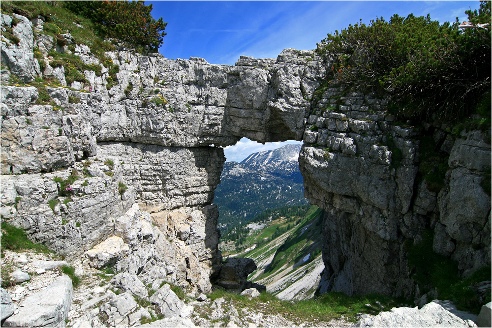 das Loserfenster