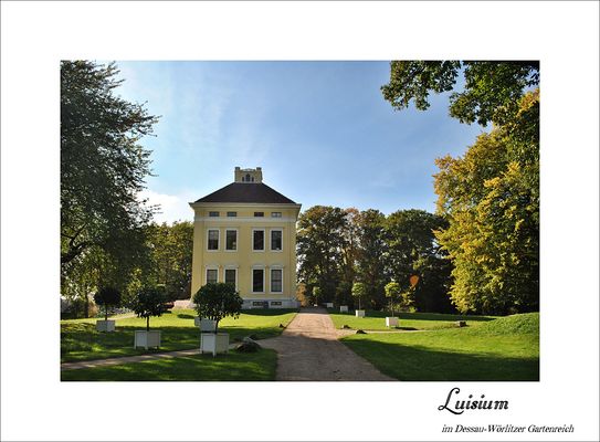 Das Luisium