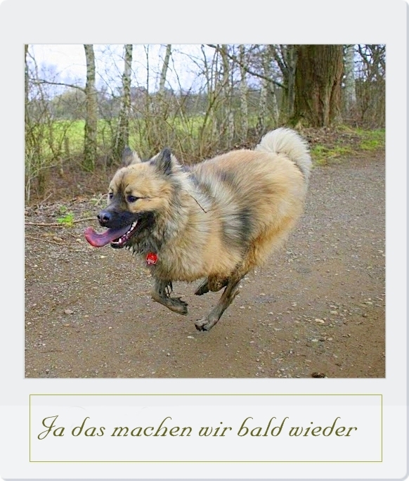 Das machen wir bald wieder.............