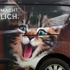 (Das) MACHT (glück)LICH (!)