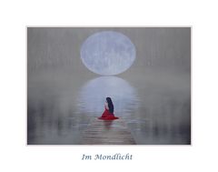 Das Mädchen im Mondlicht....