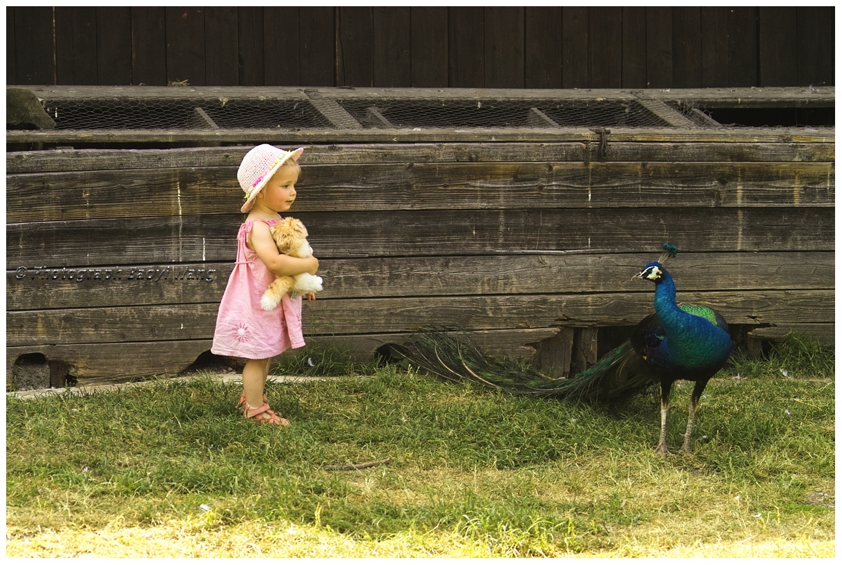 Das Mädchen mit einem Pfau