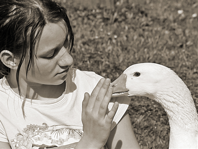 Das Mädchen und der Gänserich